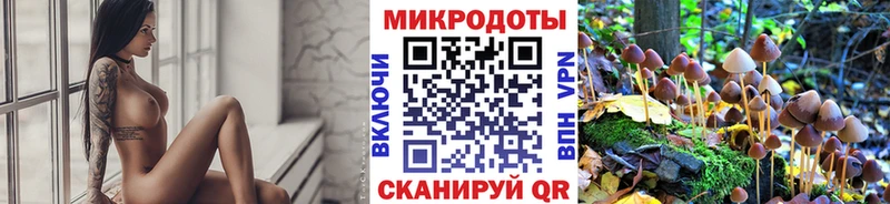 это состав  Калач  Галлюциногенные грибы мицелий 